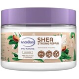 Andrelon Andrelon Haarmasker 300 ml Pot Shea Strong Repair Andrelon Andrelon Haarmasker 300 ml Pot Shea Strong Repair