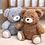 Petú Petú Raad Teddy bruin 28cm