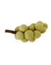 Papoose Toys Green Grapes