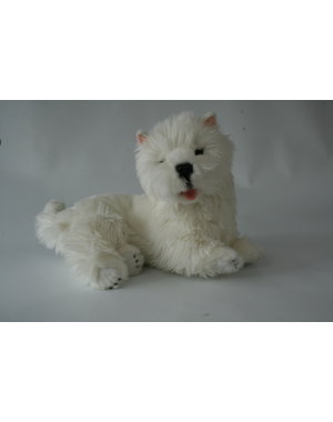  Liggende Westie 35 cm