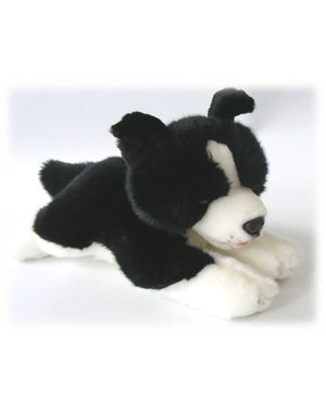  Border Collie Pup 29cm