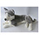 Liggende Husky 60 cm
