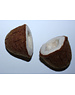 Papoose Toys Half Coconut/2pc