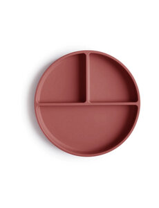 Nuuroo Mingo divided silicone plate