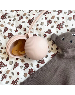 Nuuroo Camille pacifier box-Rose dust