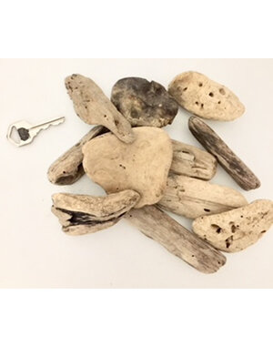 Papoose Toys Small Driftwood/10pc