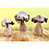 Papoose Toys Wood Rose Mushrooms/3pc