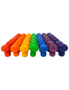 Papoose Toys Mini Rainbow Mushroom/49pc
