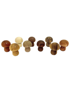 Papoose Toys Mini WW Mushrooms/9pc