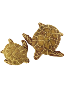 Papoose Toys Brown Turtles/2pc