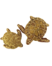 Papoose Toys Brown Turtles/2pc