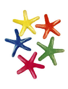 Papoose Toys Sea Star Laevigata/5pc