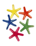 Papoose Toys Sea Star Laevigata/5pc