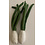 Papoose Toys Spring Onion/2pc