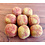 Papoose Toys Smoked Cheese Cubes/8pc