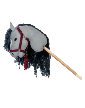 Halster en Halstertouw rood