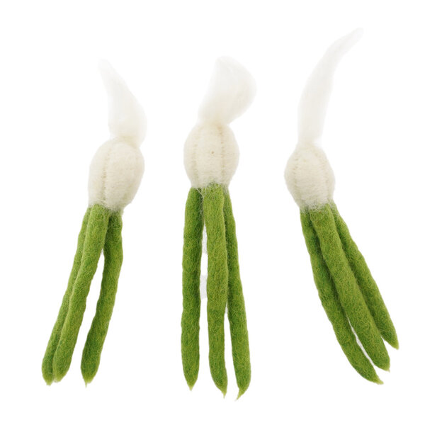 Papoose Toys Mini Garlic/3