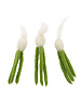Papoose Toys Mini Garlic/3