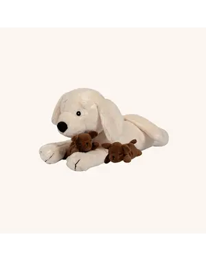  Pluchen hond met Puppies