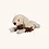 Pluchen hond met Puppies Pre-order