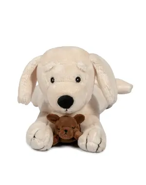  Pluchen hond met Puppies