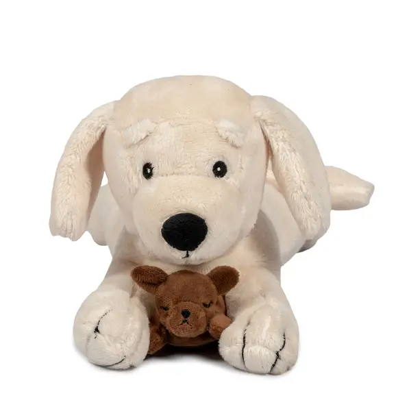 Pluchen hond met Puppies