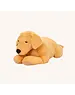  Verzwaarde pluchen Labrador 2,2kg