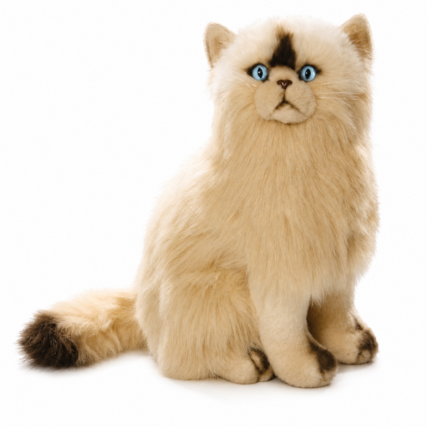 Zittende Perzische Kat 30cm