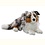 Australische Herder 43cm