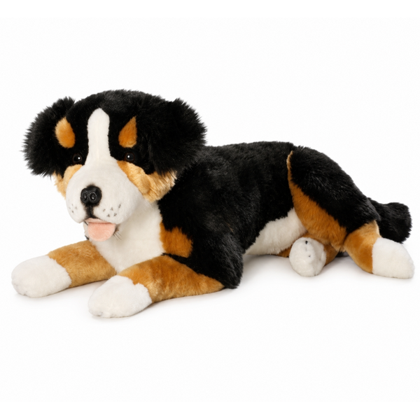Liggende Berner Sennen 60 cm