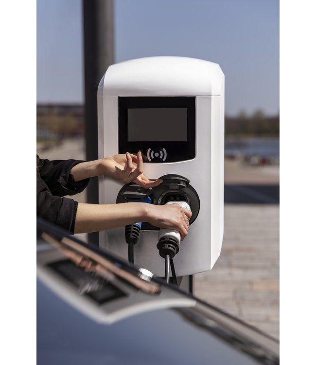 Alfen Double Pro-line laadpaal