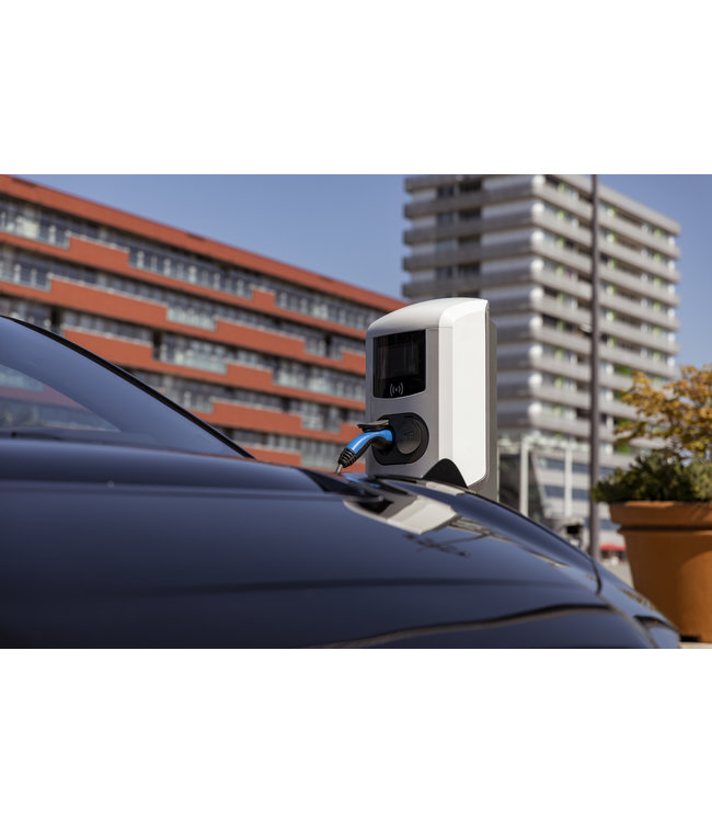 Alfen Double Pro-line laadpaal