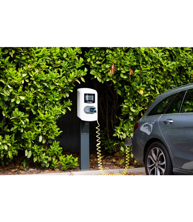 Alfen Double Pro-line laadpaal