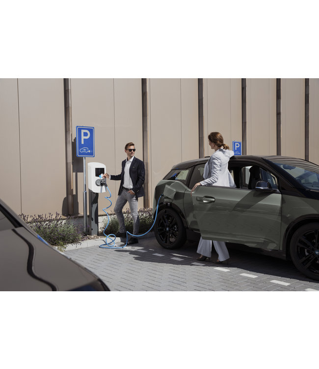 Alfen Double Pro-line laadpaal