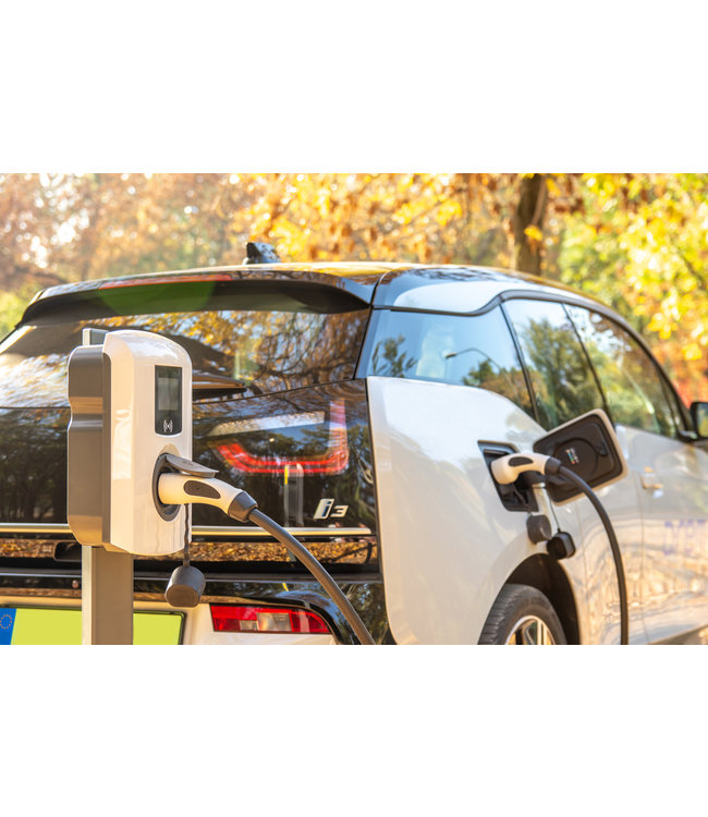 Alfen EVE Single Pro-line Stekker laadpaal