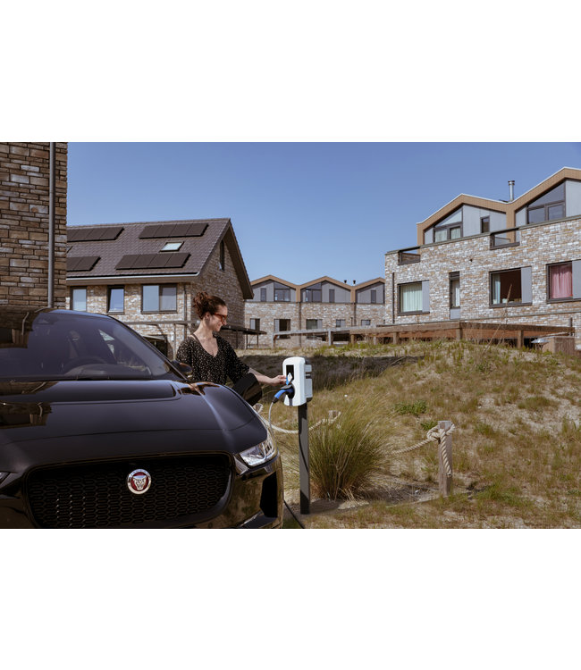 Alfen EVE Single Pro-line Stekker laadpaal