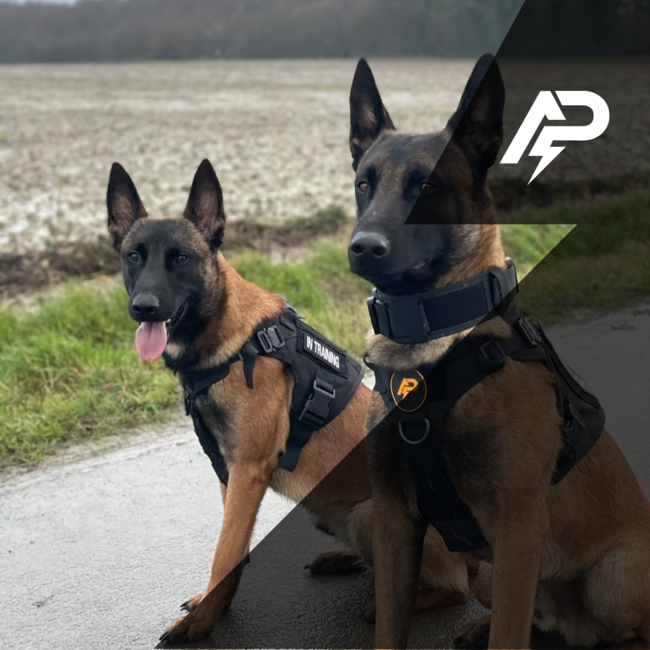 Politiehonden en voeding