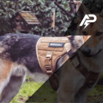 Custom Patch for Dog harness