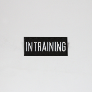 In Training Patch