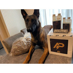 Excellent Dog Adult