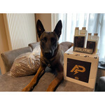 Excellent Dog Adult