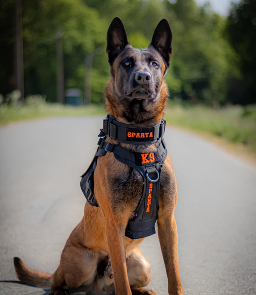 Geborduurd Tactical Dog Vest