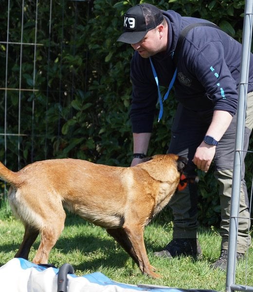 Always Prepared Snapback Patch K9