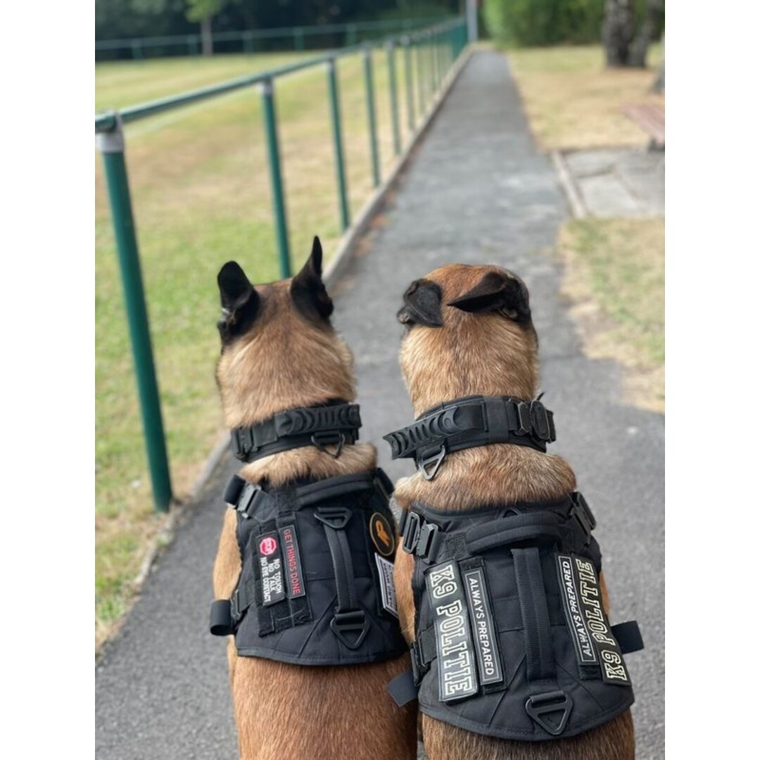 Tweede Kans - Combi-Deal Pro K9 complete set