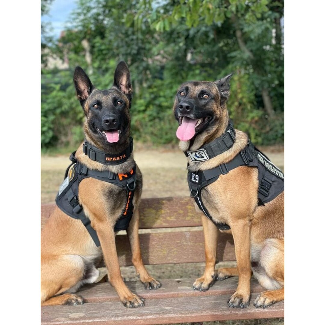 Tweede Kans - Combi-Deal Pro K9 complete set