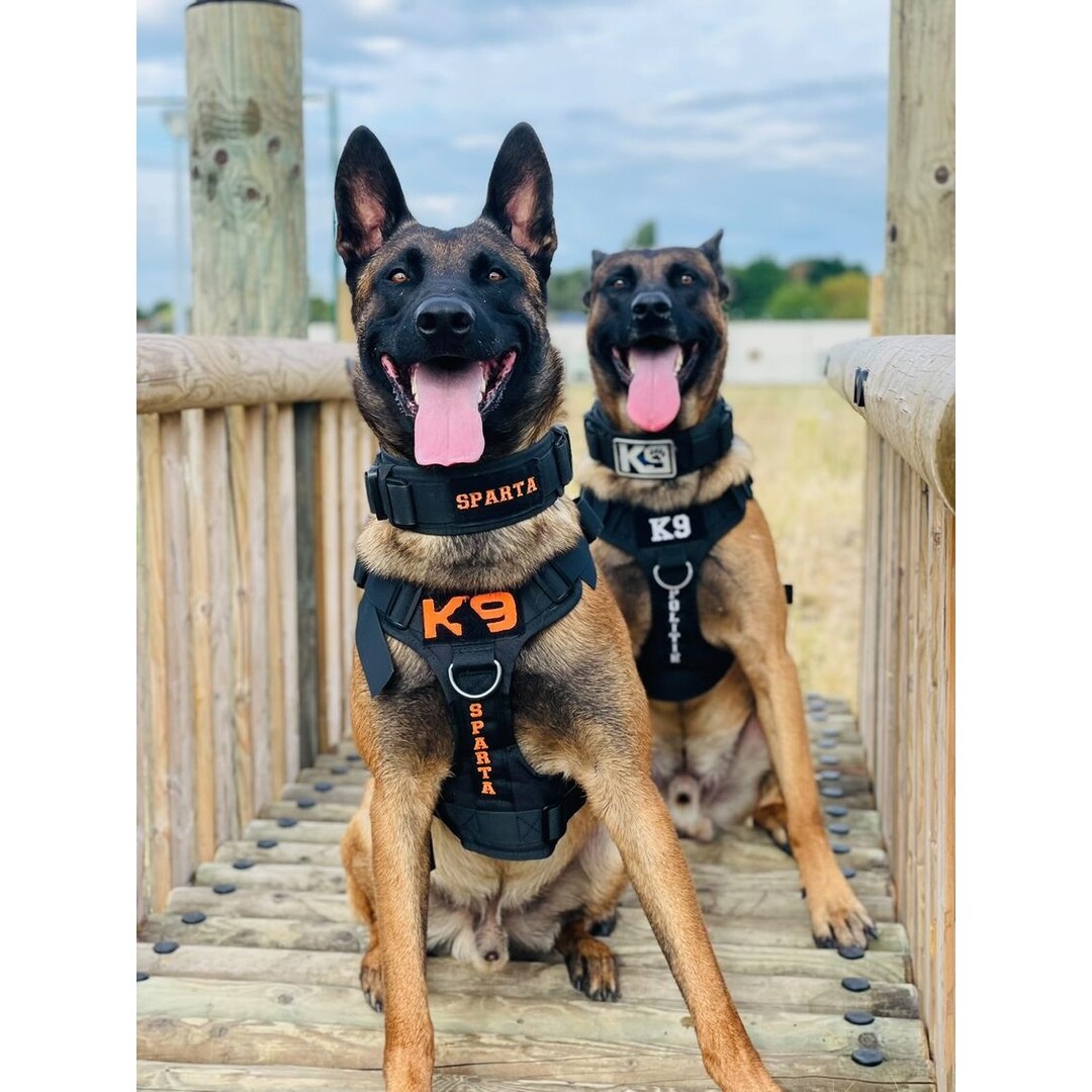 Tweede Kans - Combi-Deal Pro K9 complete set