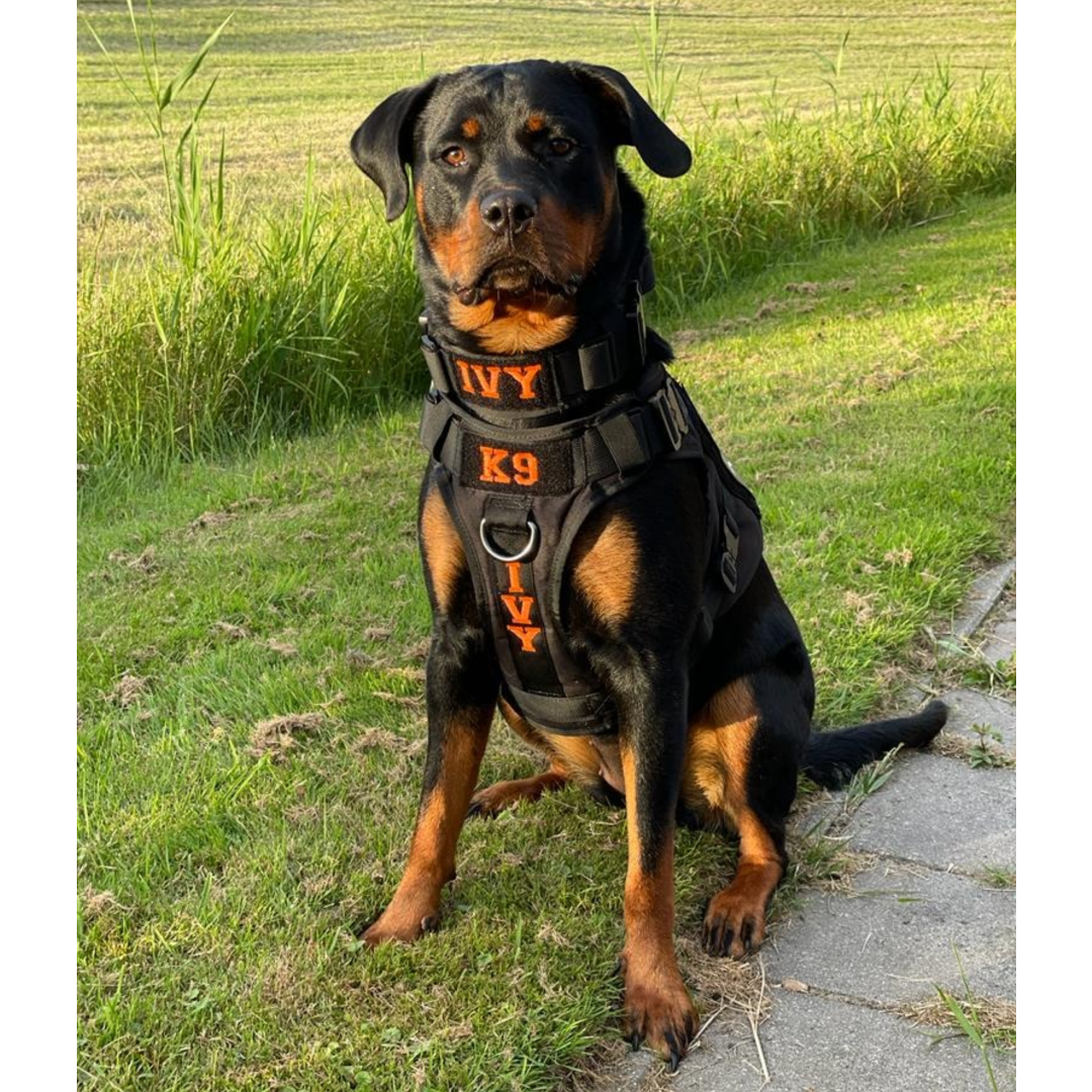 Tweede Kans - Combi-Deal Pro K9 complete set