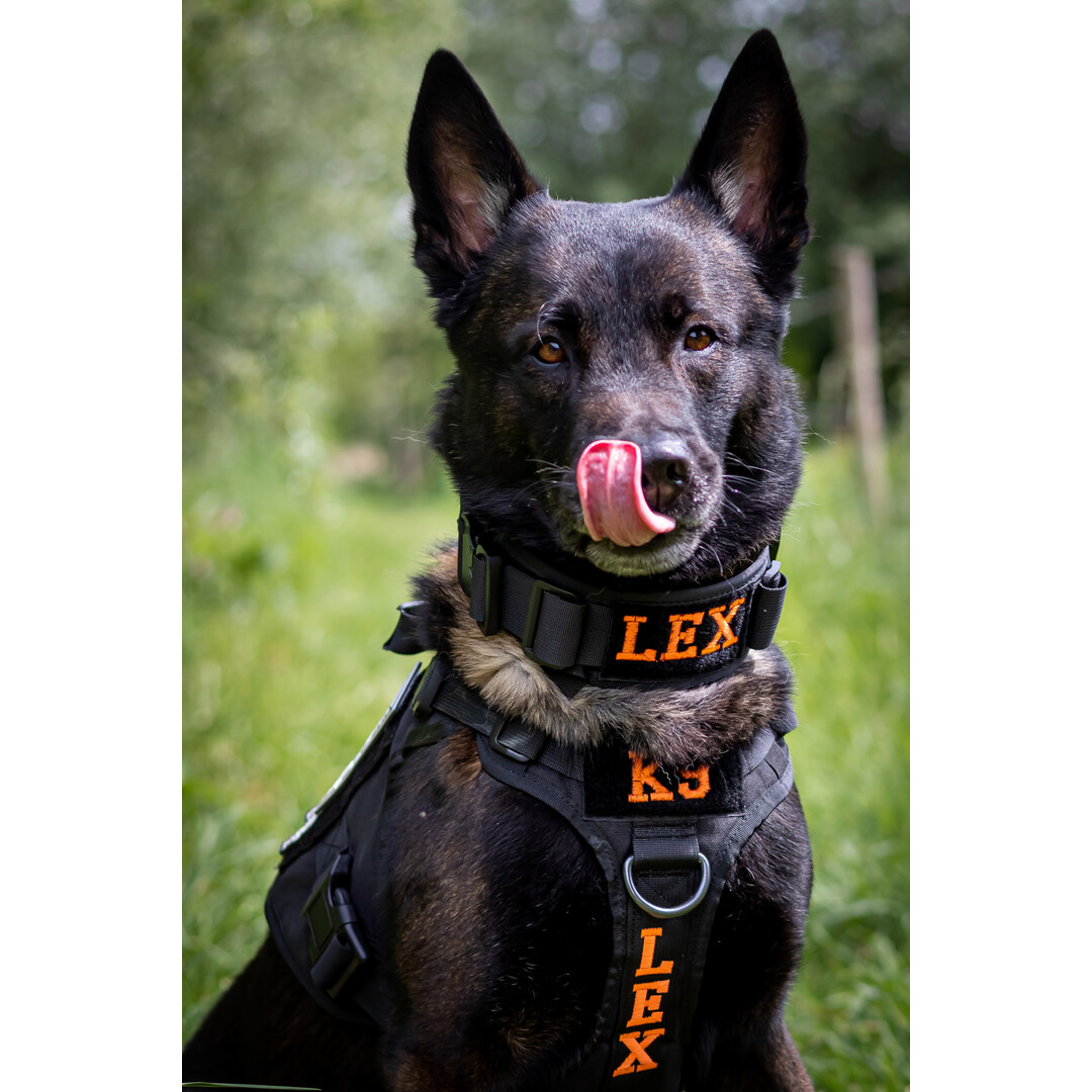 Tweede Kans - Combi-Deal Pro K9 complete set