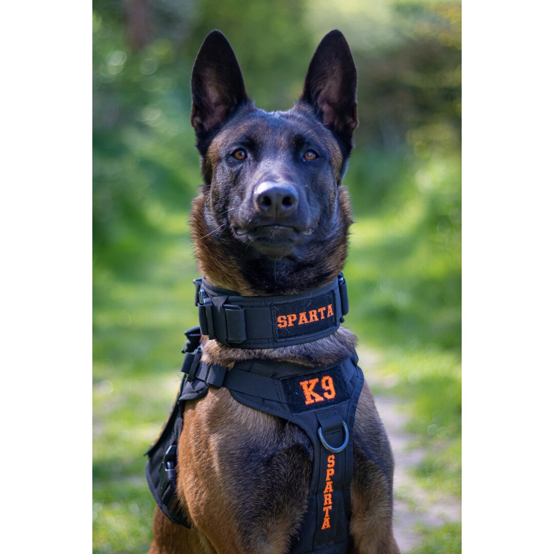 Tweede Kans - Combi-Deal Pro K9 complete set