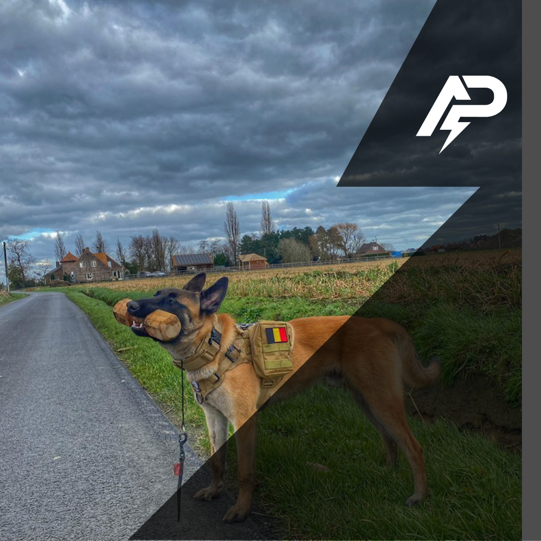 Tactical Dog Pouch Black